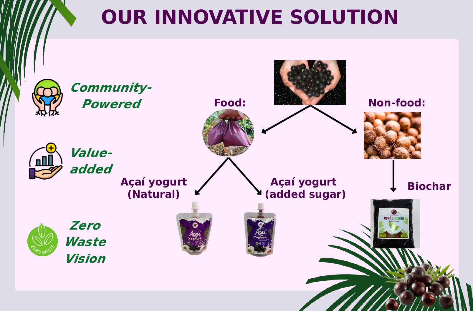 AcaiBoosters - Our Innovative Solution